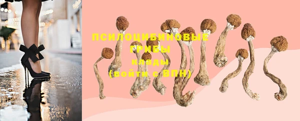 дмт Няндома