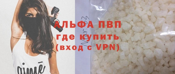 индика Алексин