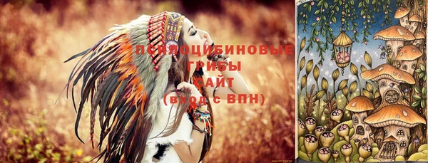 индика Алексин