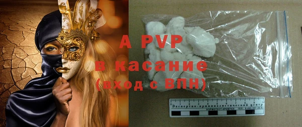 индика Алексин